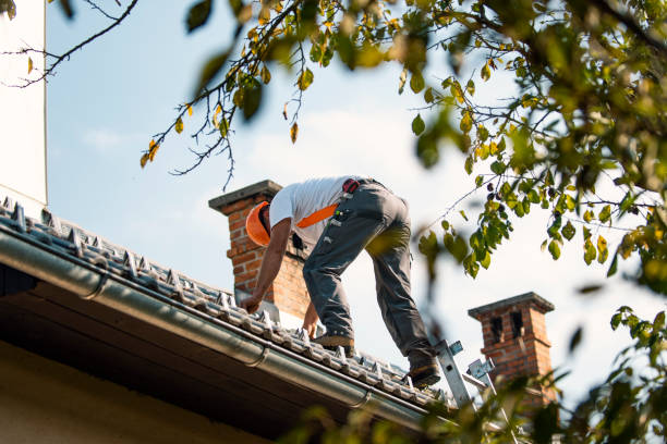 Best Roof Gutter Cleaning  in Odem, TX