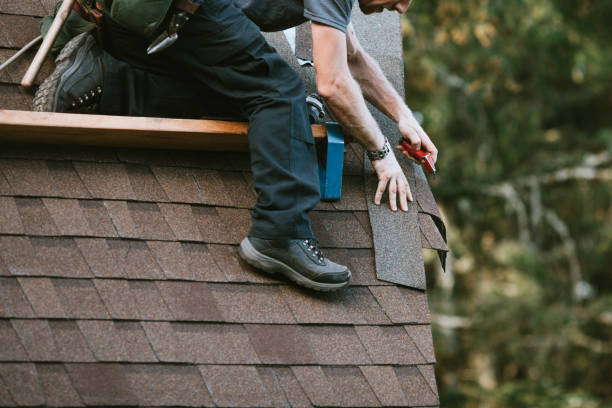 Best Metal Roofing Contractor  in Odem, TX